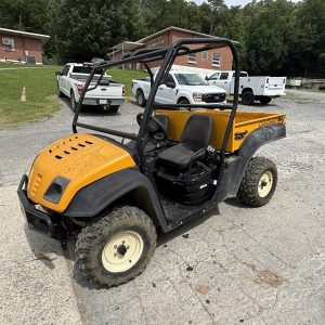 47. Cub Cadet side by side